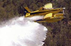canadair Un Canadair in azione