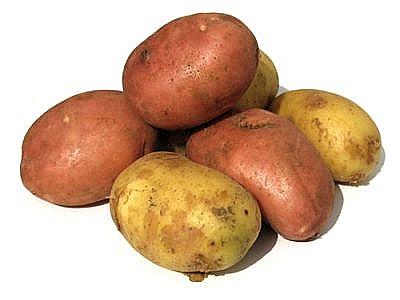 Patata Amflora
