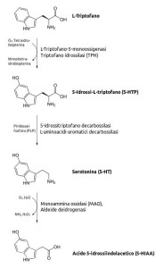 5-idrositriptamina