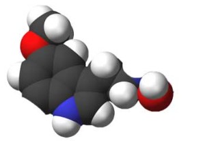 melatonina-cancro